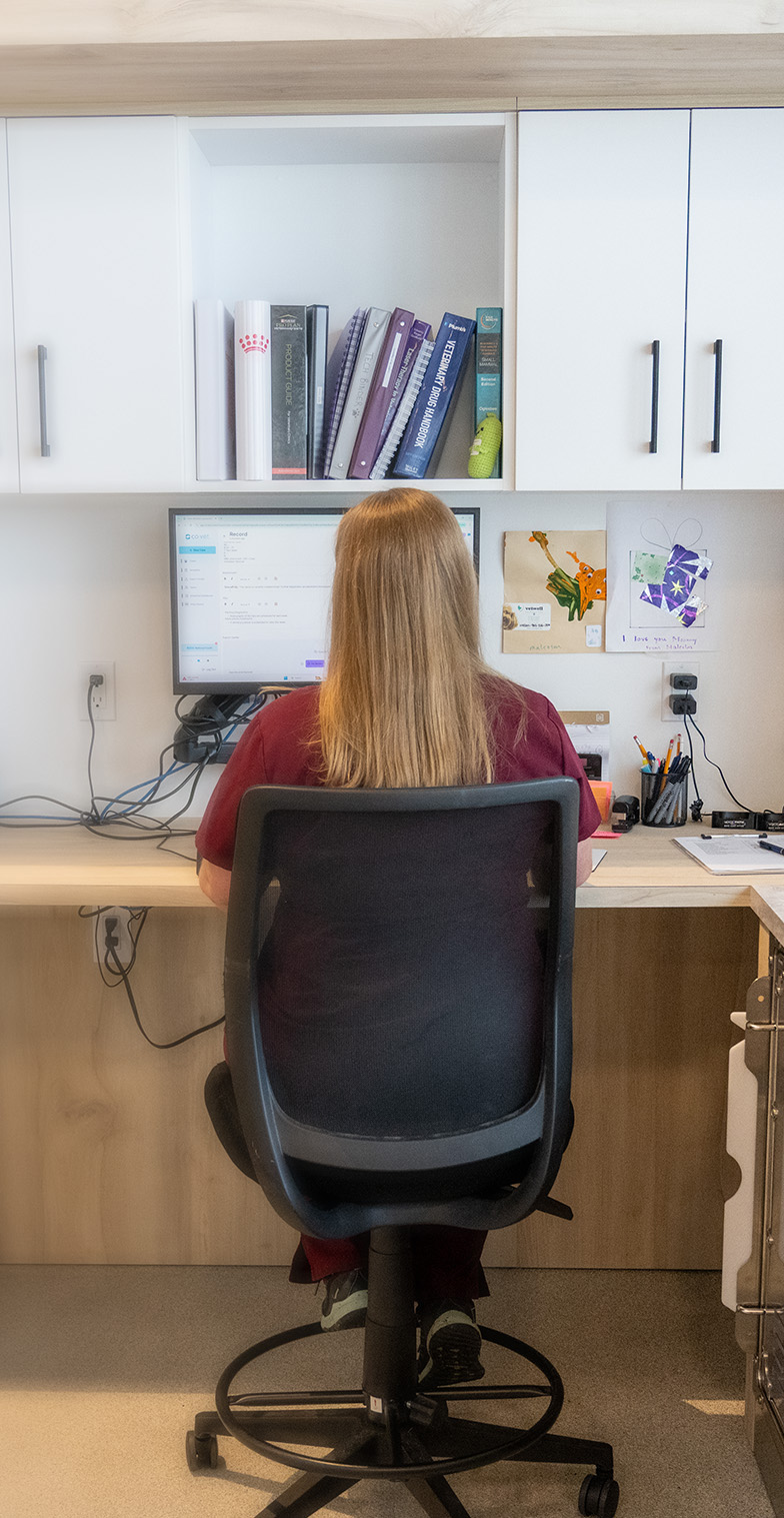 Veterinary team in a modern clinic setting